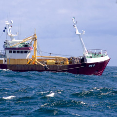 Macduff Fishing Boat